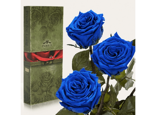 Три долгосвежих розы Синий Сапфир в подарочной упаковке