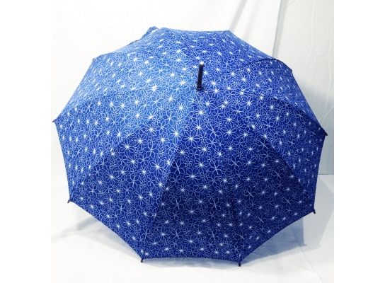 Зонт трость на 10 пластиковых спиц