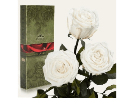 Три долгосвежие розы Белый Бриллиант в подарочной упаковке